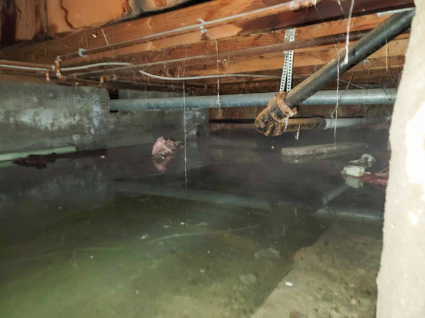 Best 24-hour water damage restoration  in Jal, NM