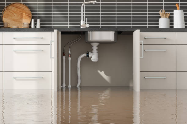 Best Commercial water damage restoration  in Jal, NM