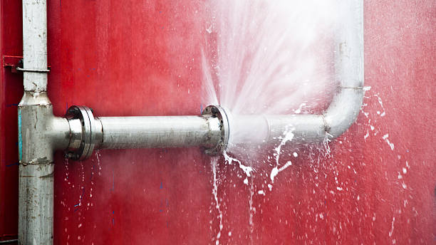 Best Water damage cleanup near me  in Jal, NM